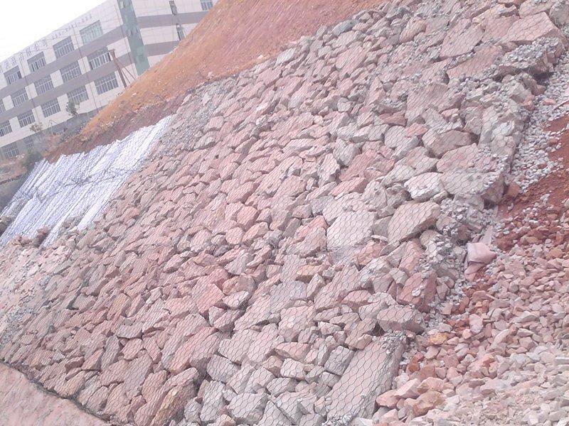 �G��W(w��ng)�|