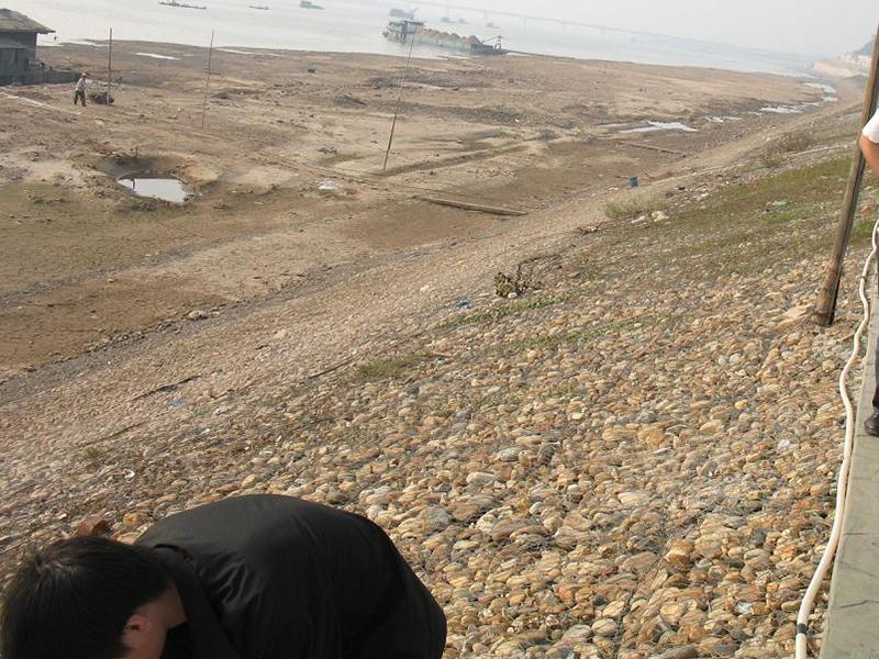 ���e���Z�o�|