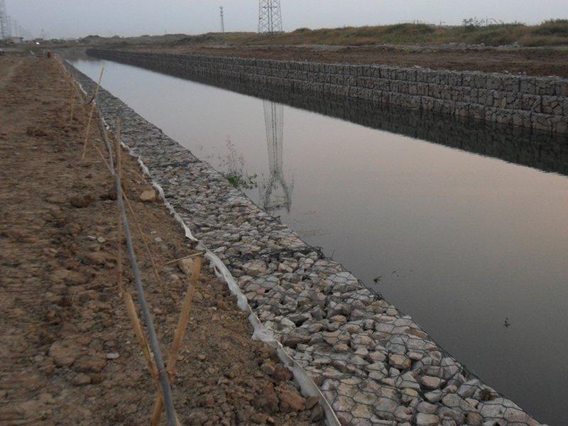 �F�zʯ�\�W(w��ng)