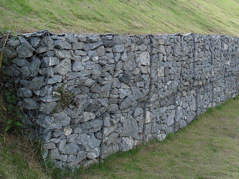 �F�zʯ�\�W(w��ng)