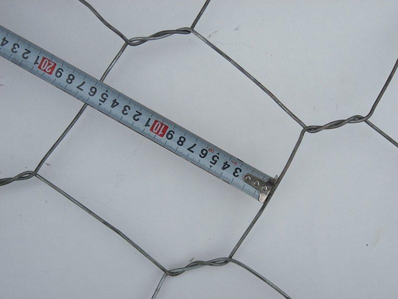 䓽zʯ�\�W(w��ng)