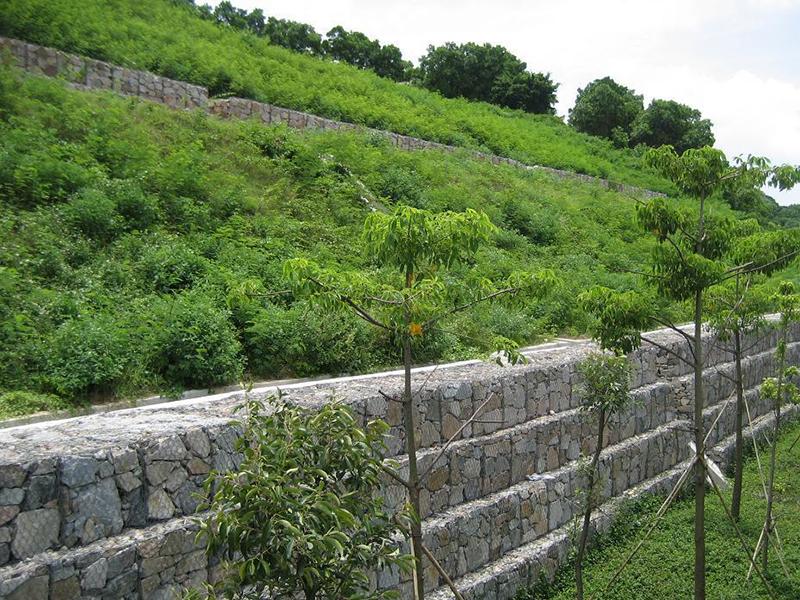 ���^(gu��n)ʯ�\�W(w��ng)