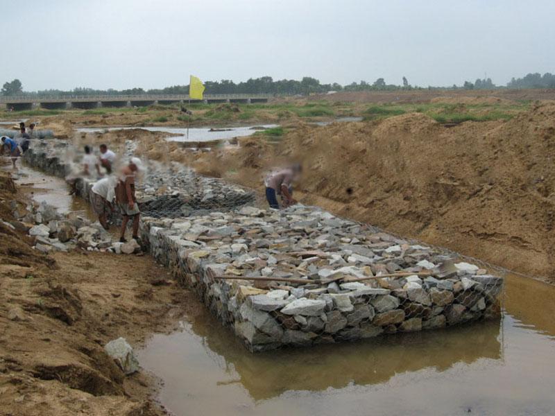 �Q�����e�W(w��ng)