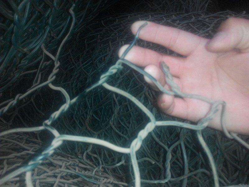 Ϳ�ܸ��e�W(w��ng)