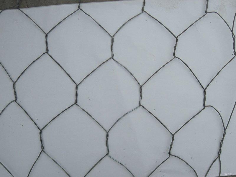 �F�z���e�W(w��ng)