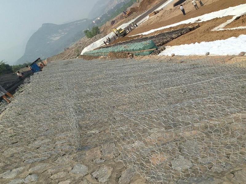 �F�z���e�W(w��ng)