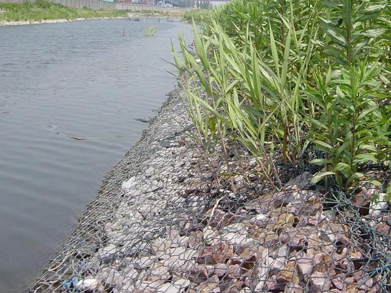 �o�����e�W(w��ng)