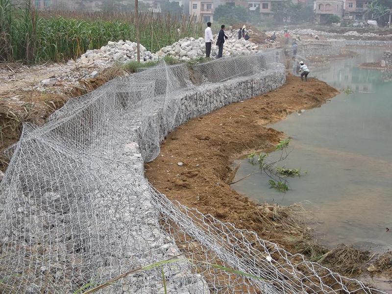 �o�����e�W(w��ng)