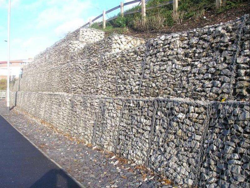 �o�¸��e�W(w��ng)