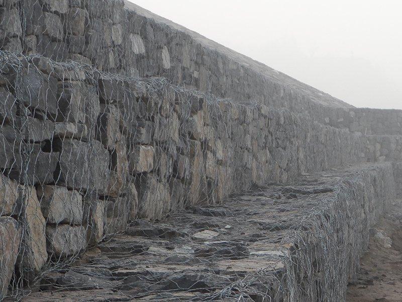 �o�¸��e�W(w��ng)