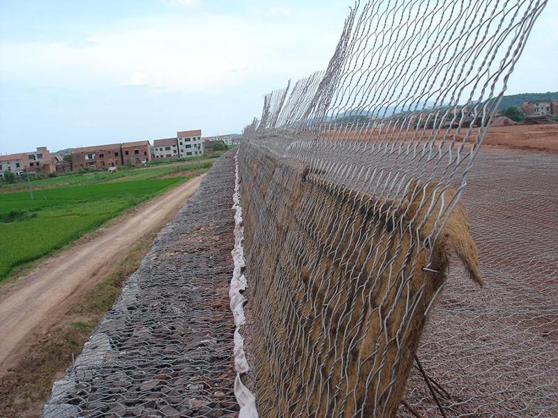 �o���U�z�\