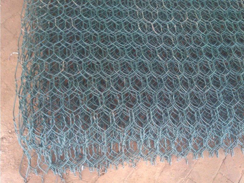 �ӵ��G��W(w��ng)