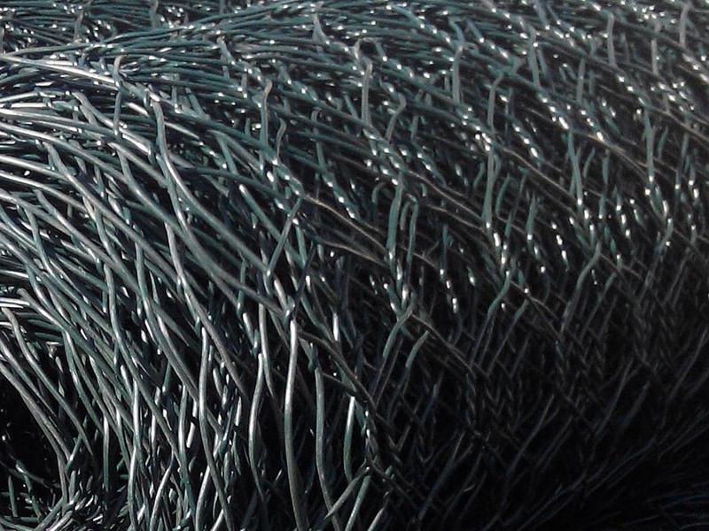 �������Z�o�|